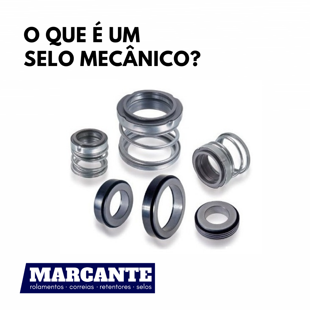 O que é um selo mecânico?